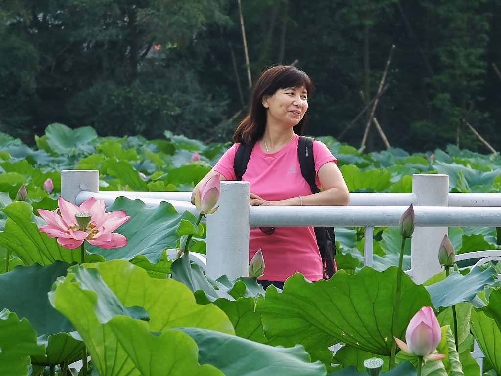 公  园  赠  拍 （三十二）