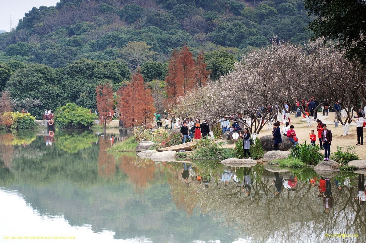水景----10P (罗岗香雪公园)