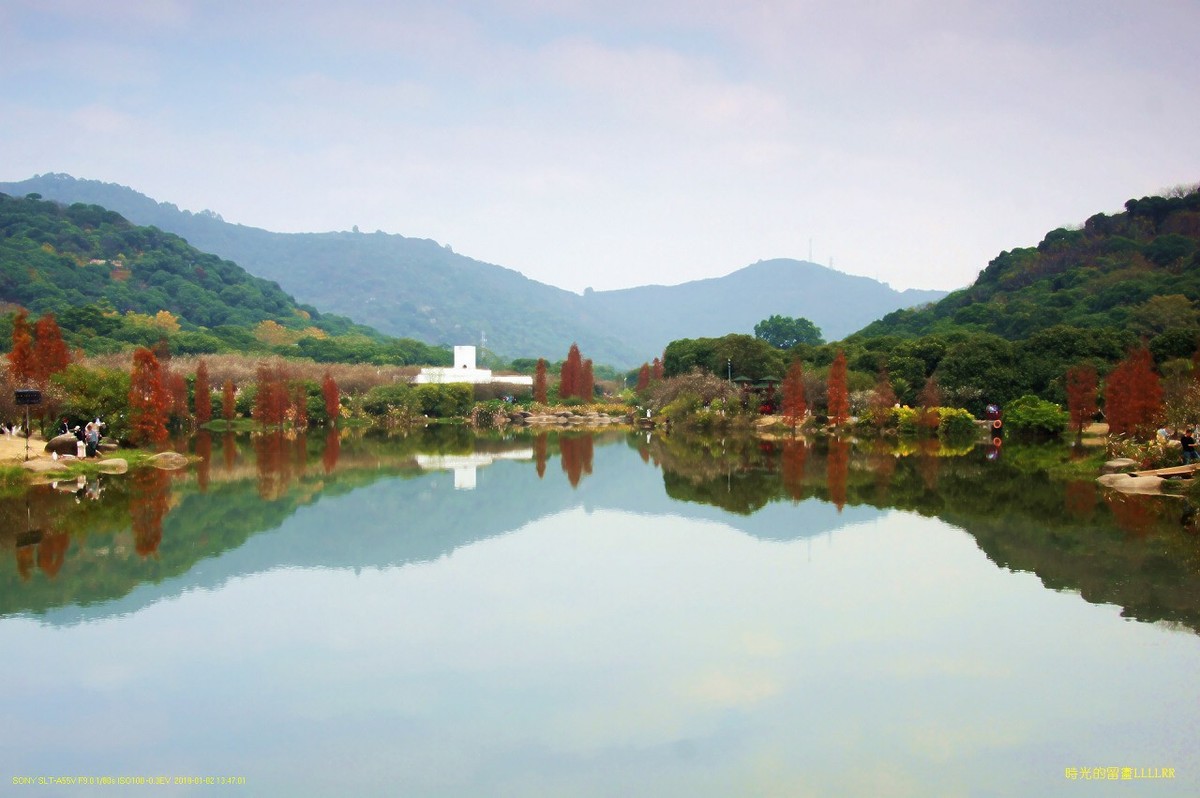 水景----10P (罗岗香雪公园)