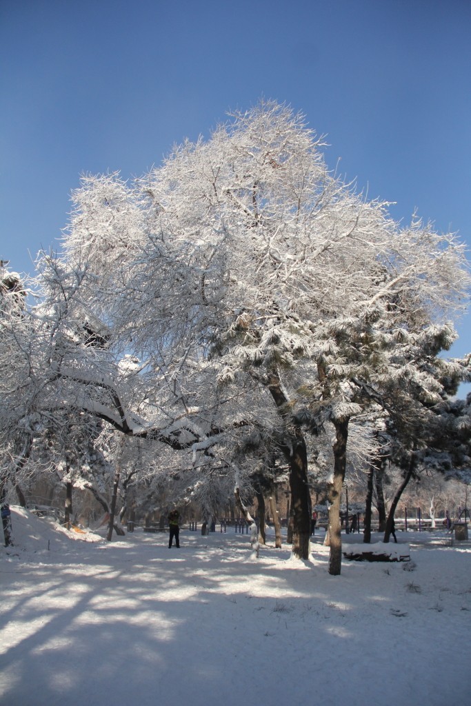 南湖冰雪----2018-1-6