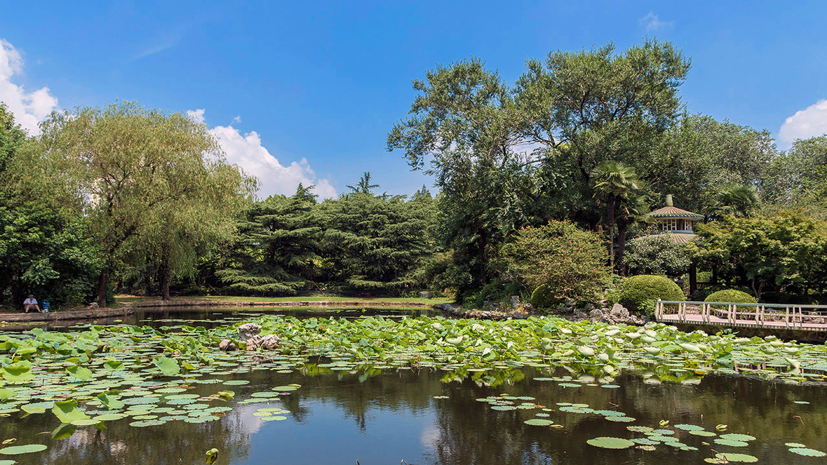 蓝蓝的天，静静的湖