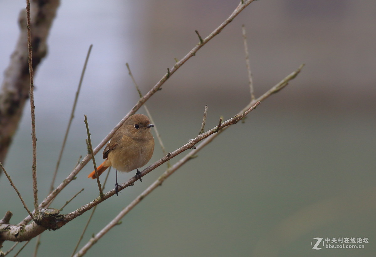 这回拍清楚没～～