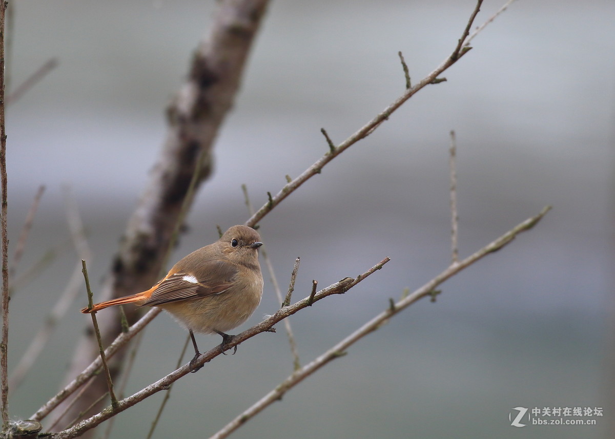 这回拍清楚没～～