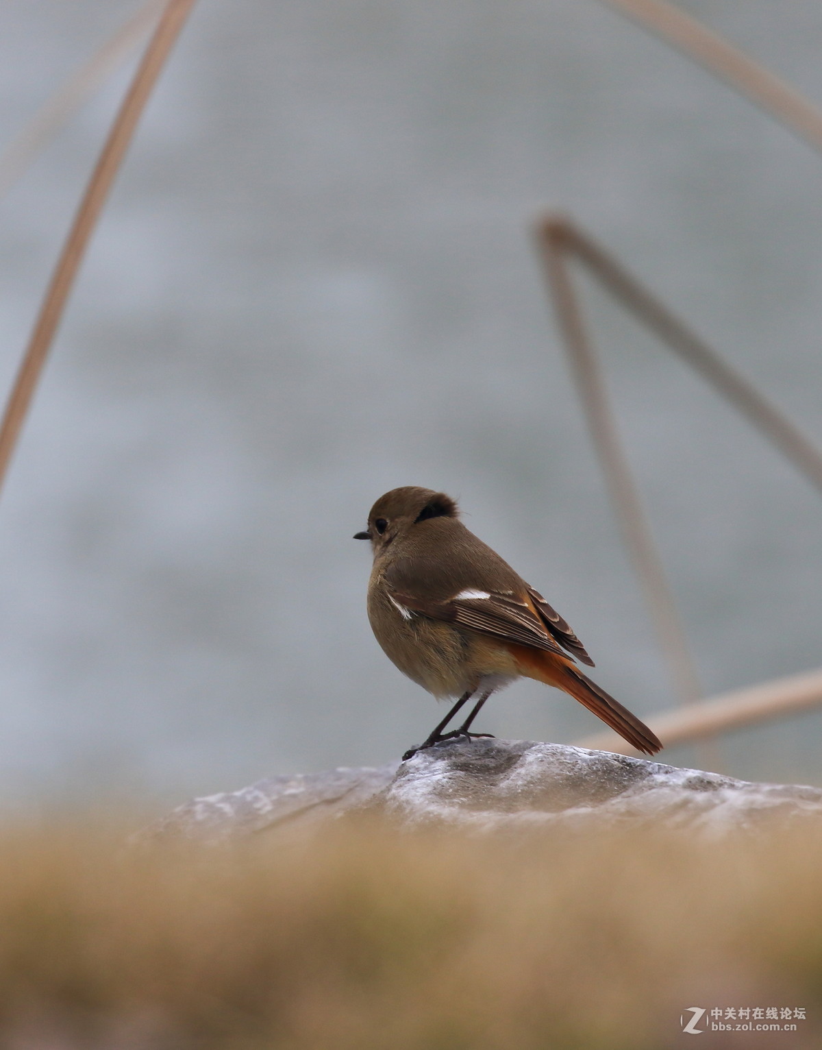这回拍清楚没～～