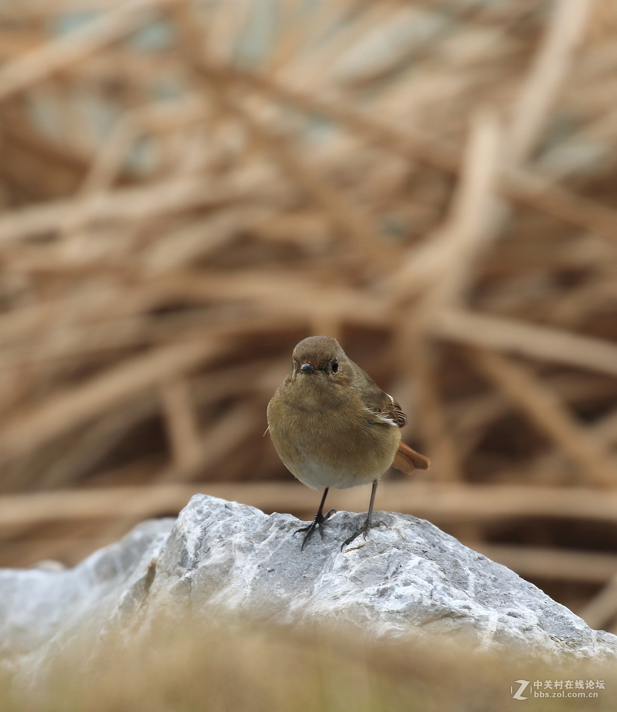 这回拍清楚没～～