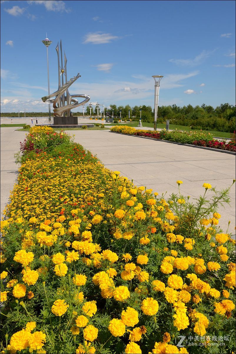 休闲随拍（358）