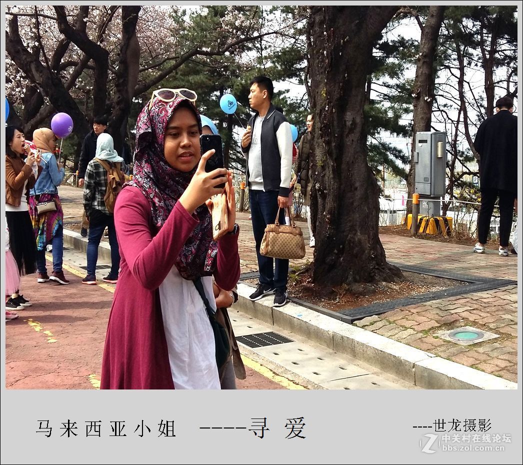 【世龙视角】-----爱 是 永 恒 的 主 题