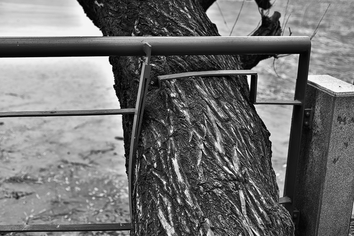 家门口的(扫街片)