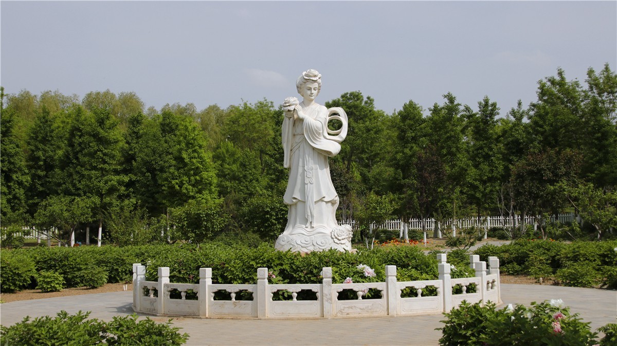 啊~~~啊~~~啊！牡丹~~百花丛中最鲜艳！！！