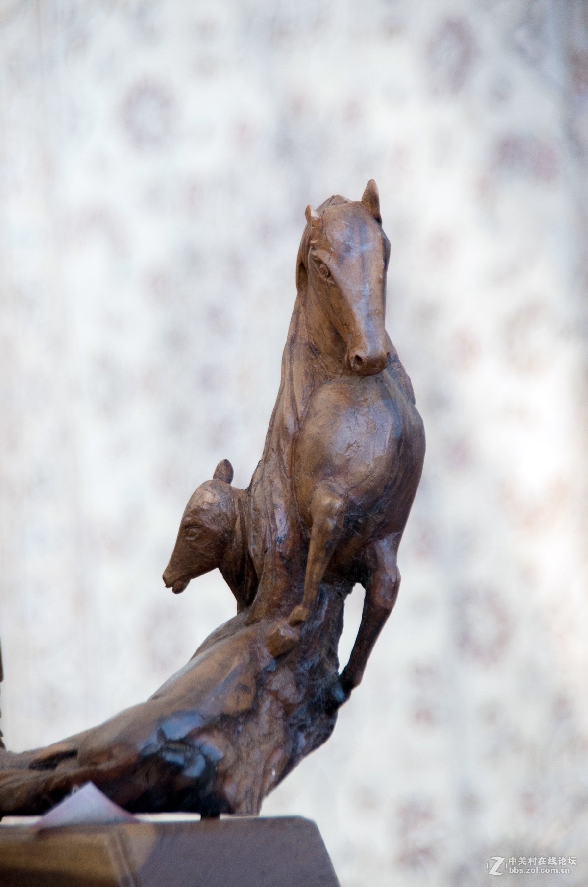 宾得da18===250室内试拍