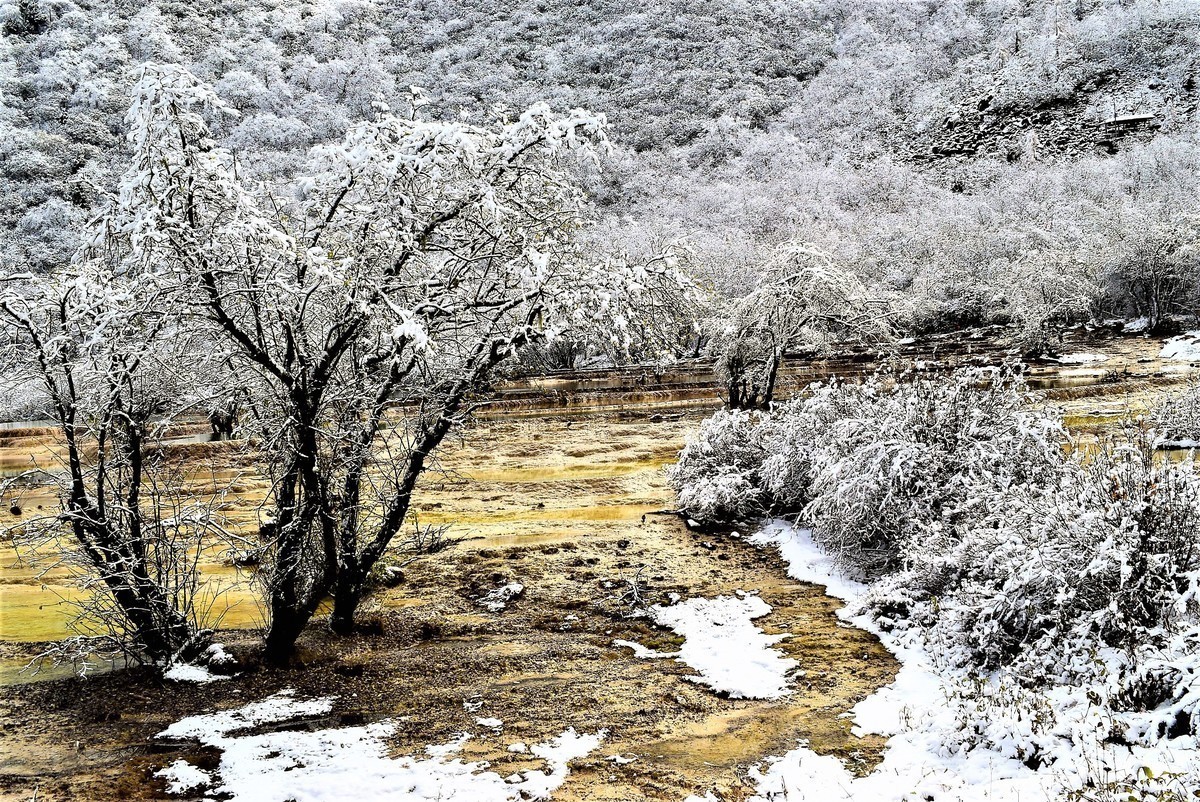 黄龙初雪