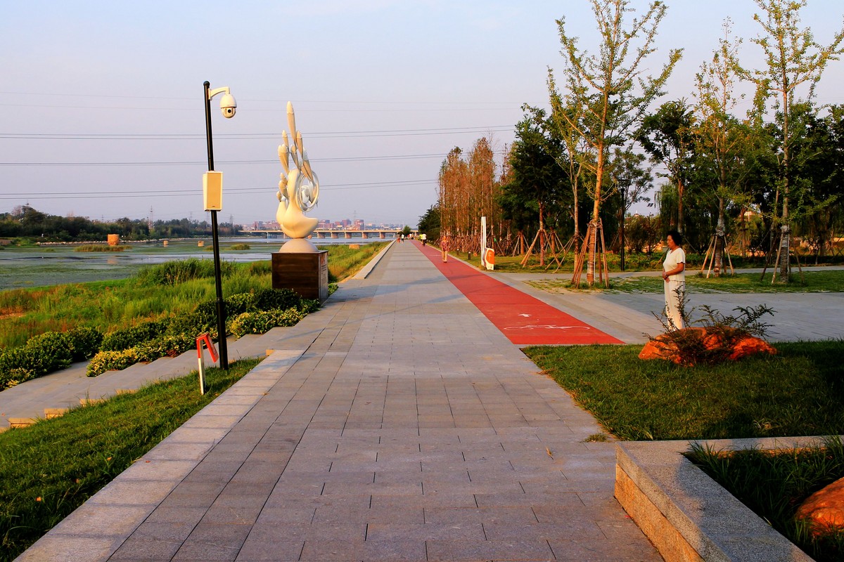 昔日的蔬菜种植基地，今日房地产商的乐园