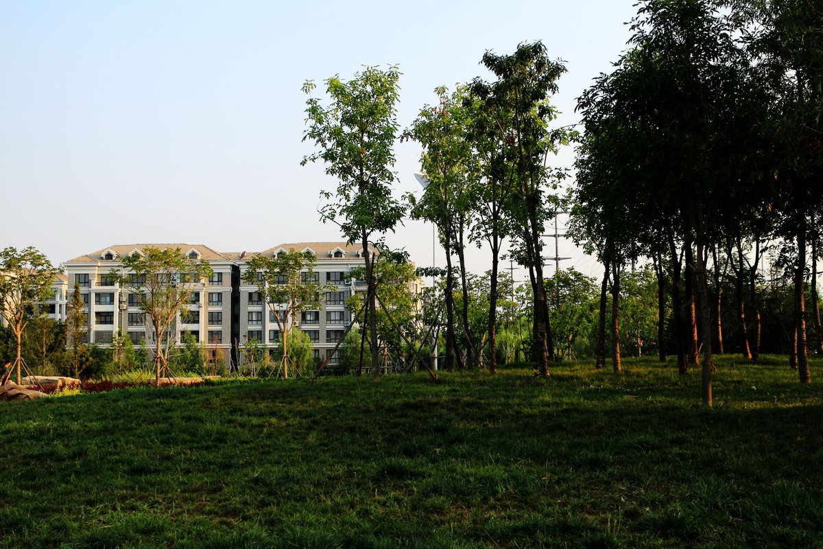 昔日的蔬菜种植基地，今日房地产商的乐园