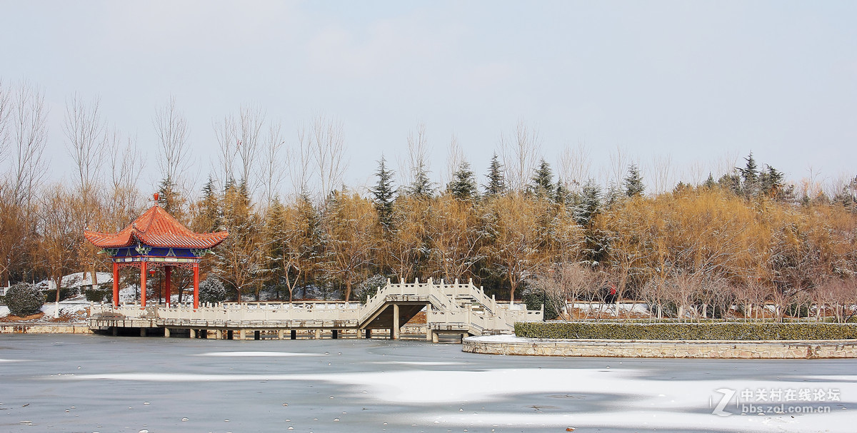 西安市閻良公園雪景2