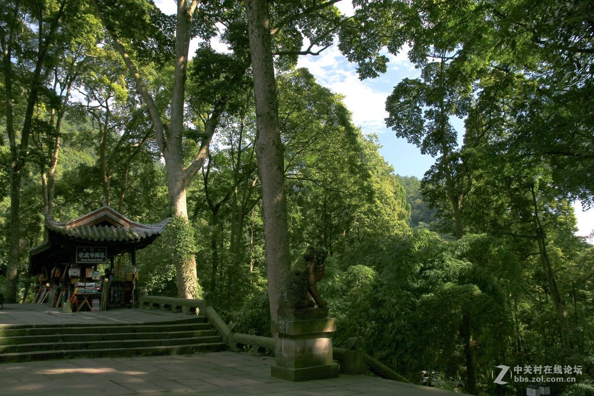 峨眉山伏虎寺遊拍二