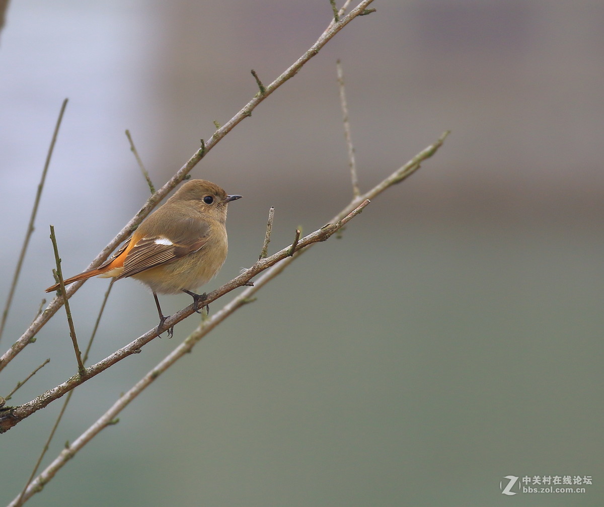 这回拍清楚没～～