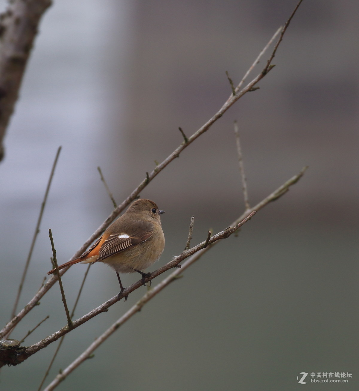这回拍清楚没～～