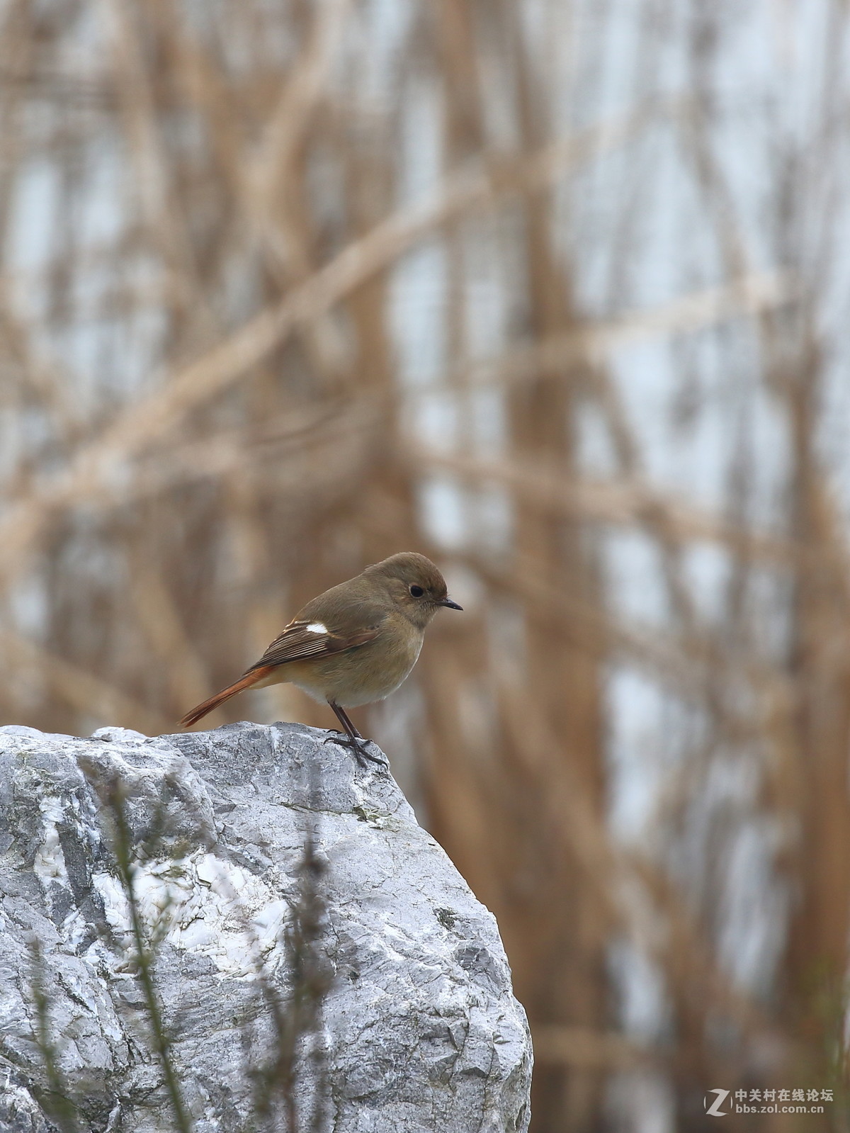 这回拍清楚没～～