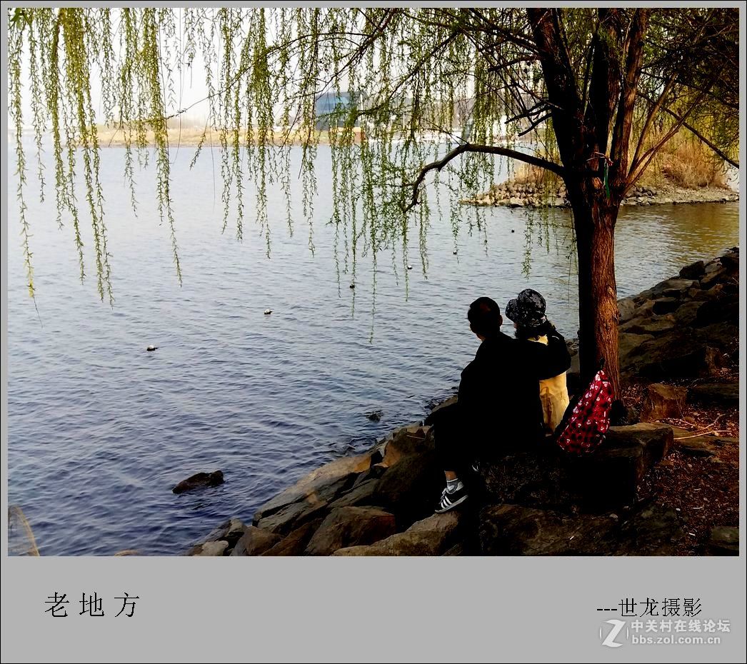 【世龙视角】-----爱 是 永 恒 的 主 题