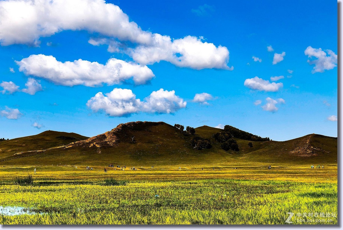 祝全体师友中秋节快乐（草原风光）