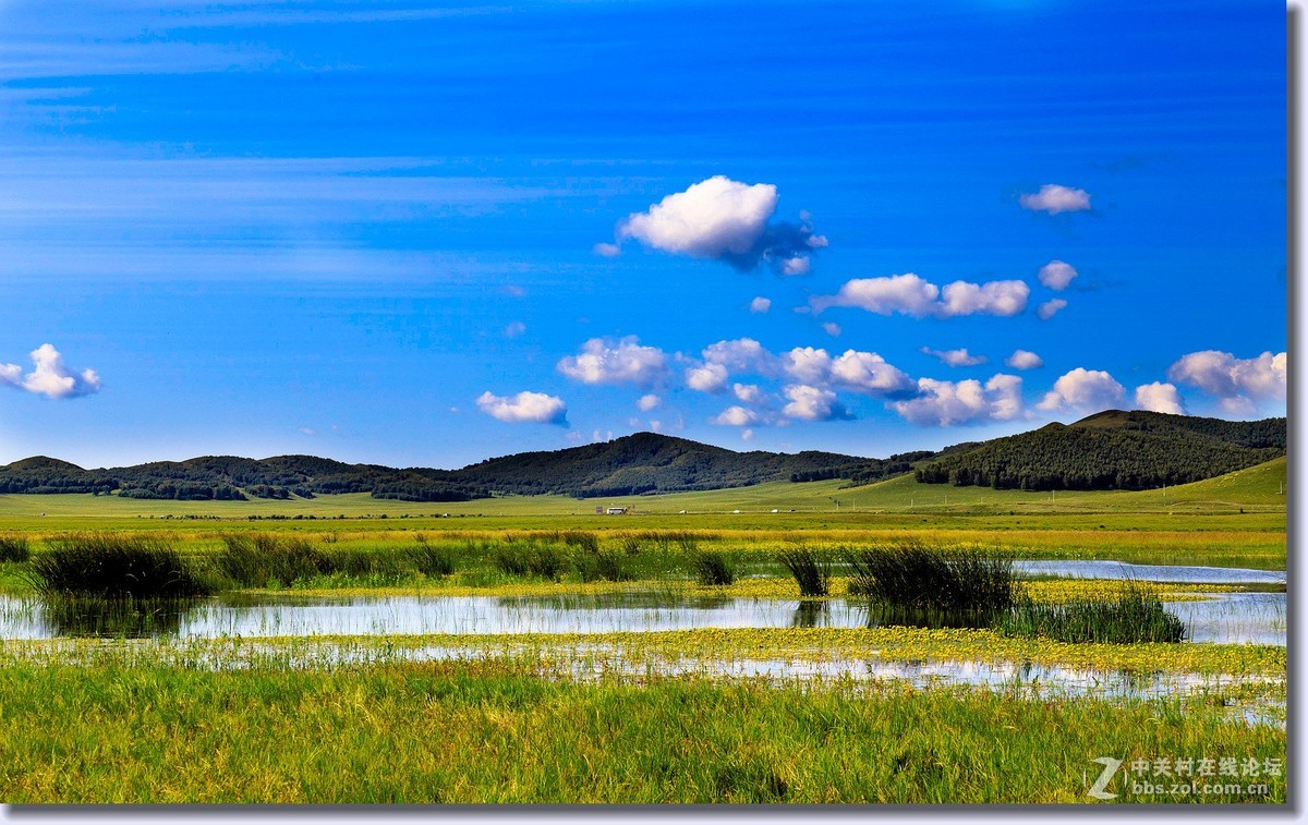 祝全体师友中秋节快乐（草原风光）