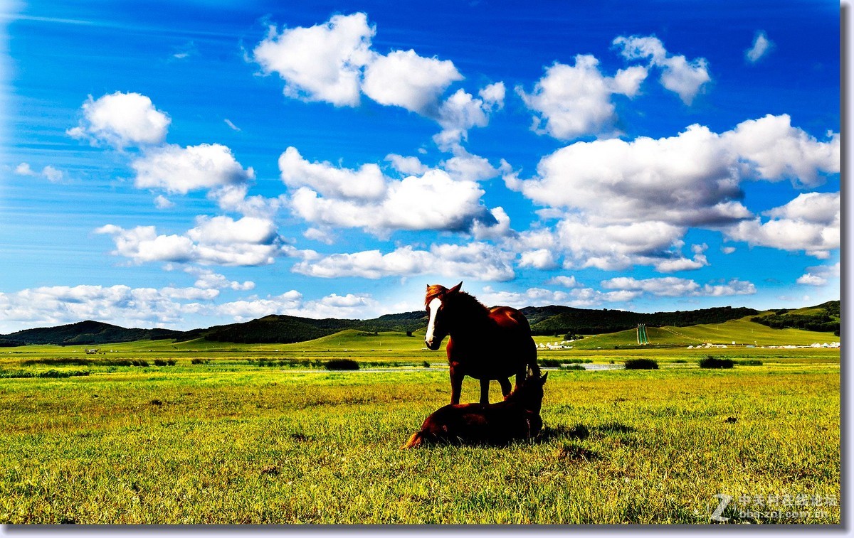 祝全体师友中秋节快乐（草原风光）