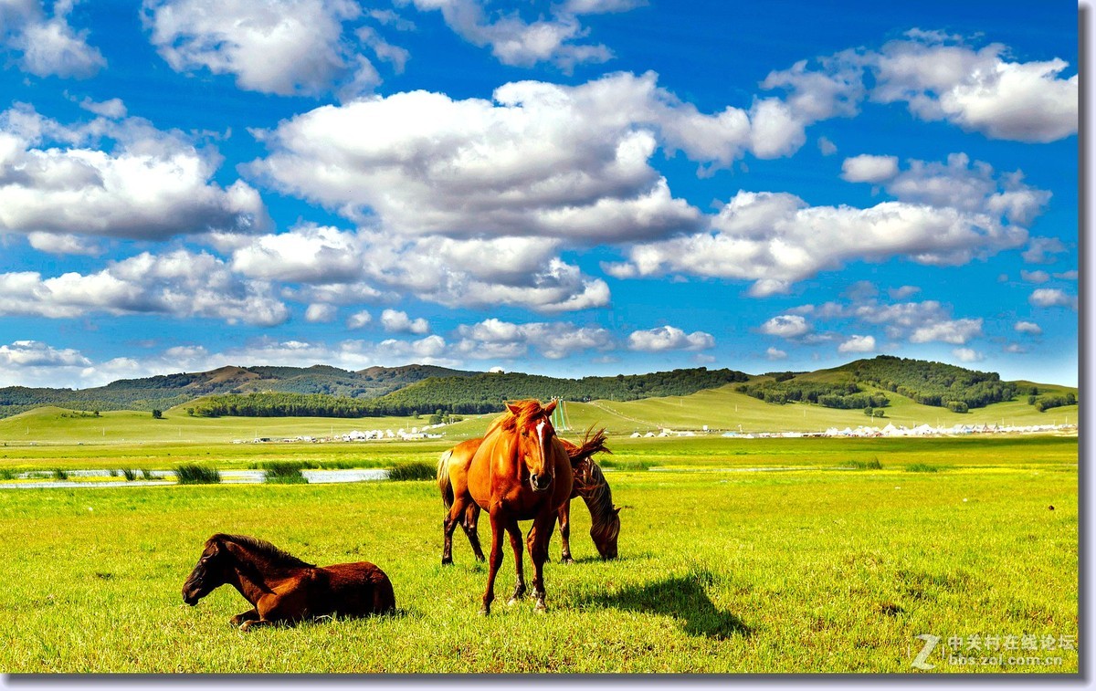 祝全体师友中秋节快乐（草原风光）