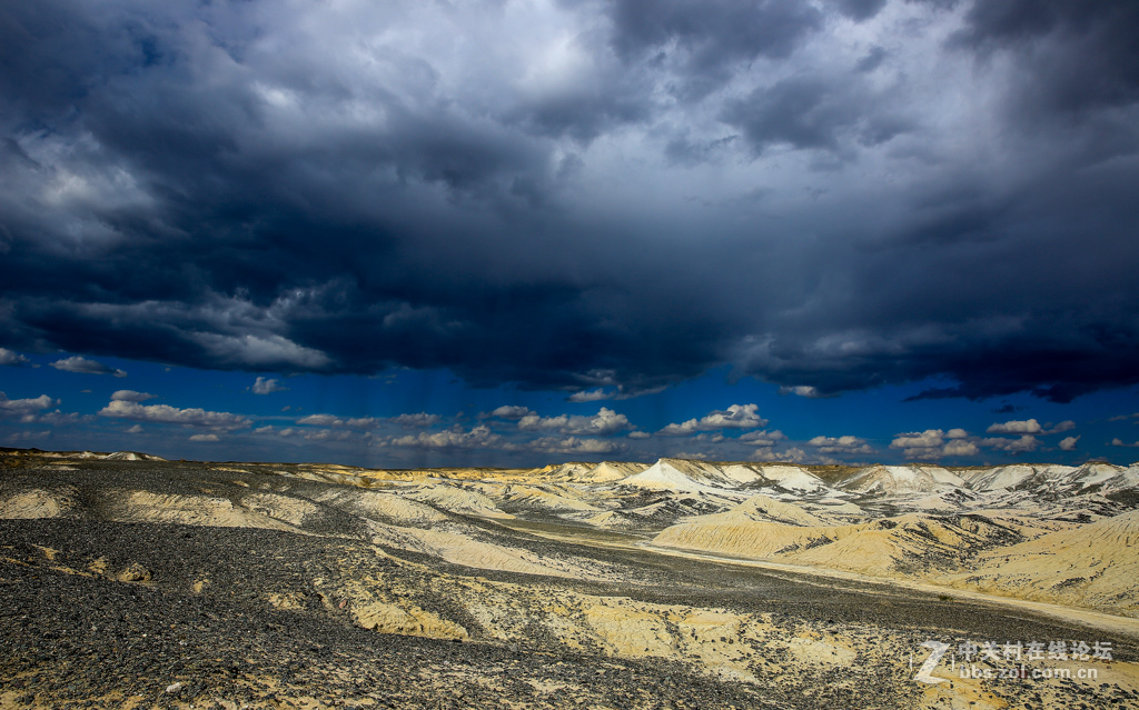 奇台硅化木--国家地质公园及沿途风光