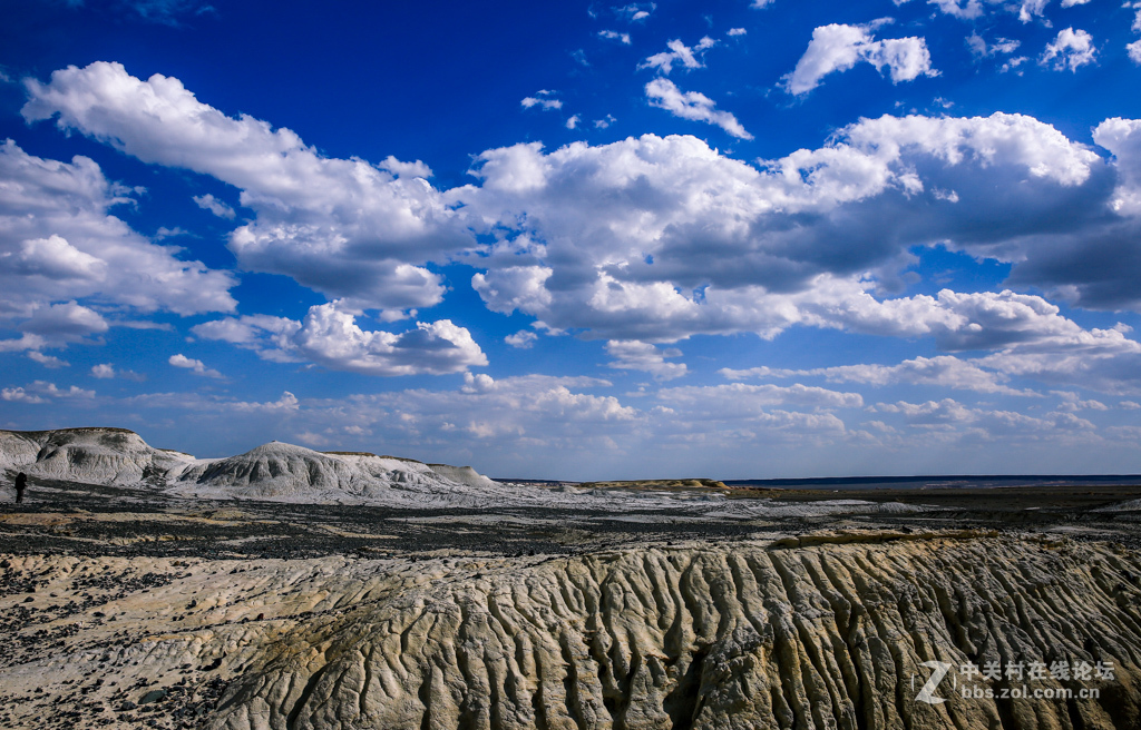 奇台硅化木--国家地质公园及沿途风光