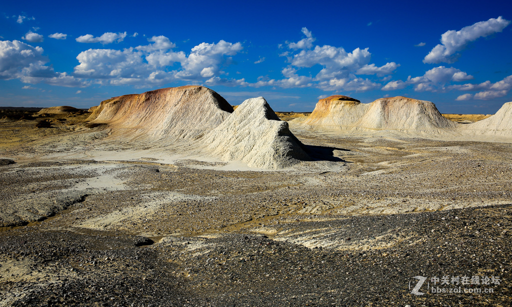 奇台硅化木--国家地质公园及沿途风光