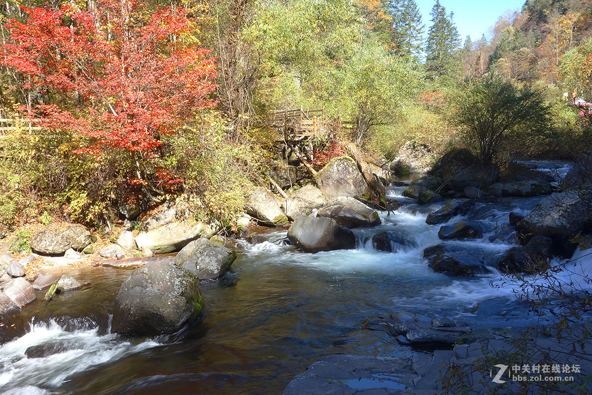 感受东北的秋色（二）