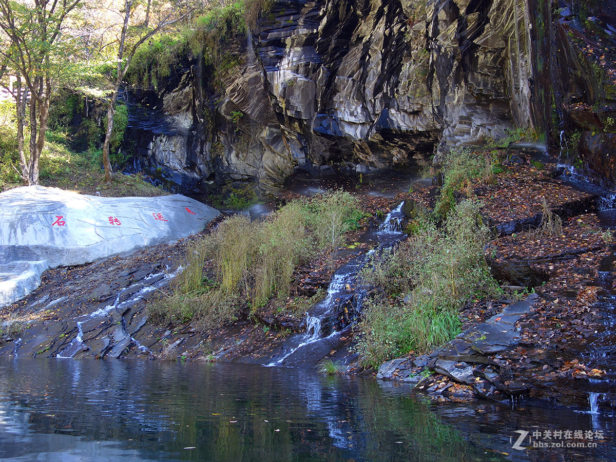 感受东北的秋色（二）