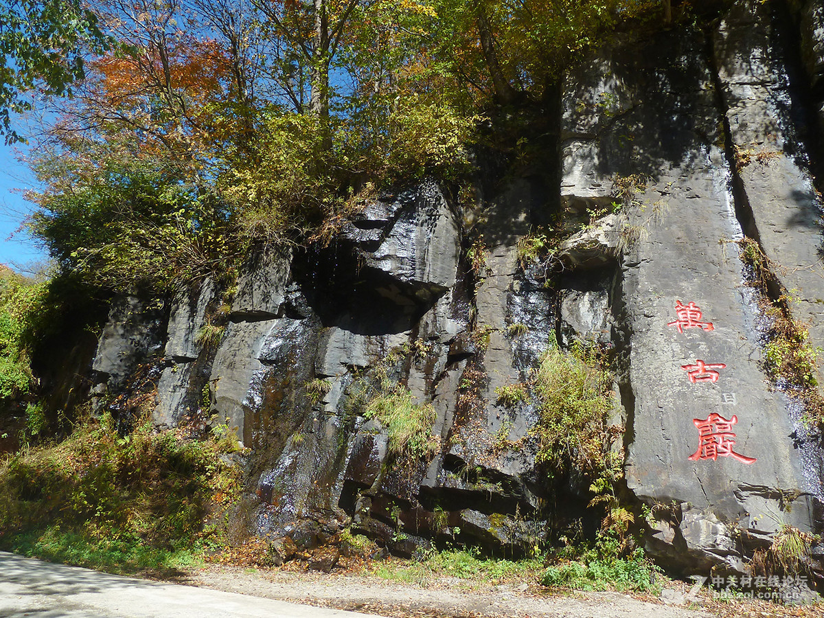 感受东北的秋色（二）