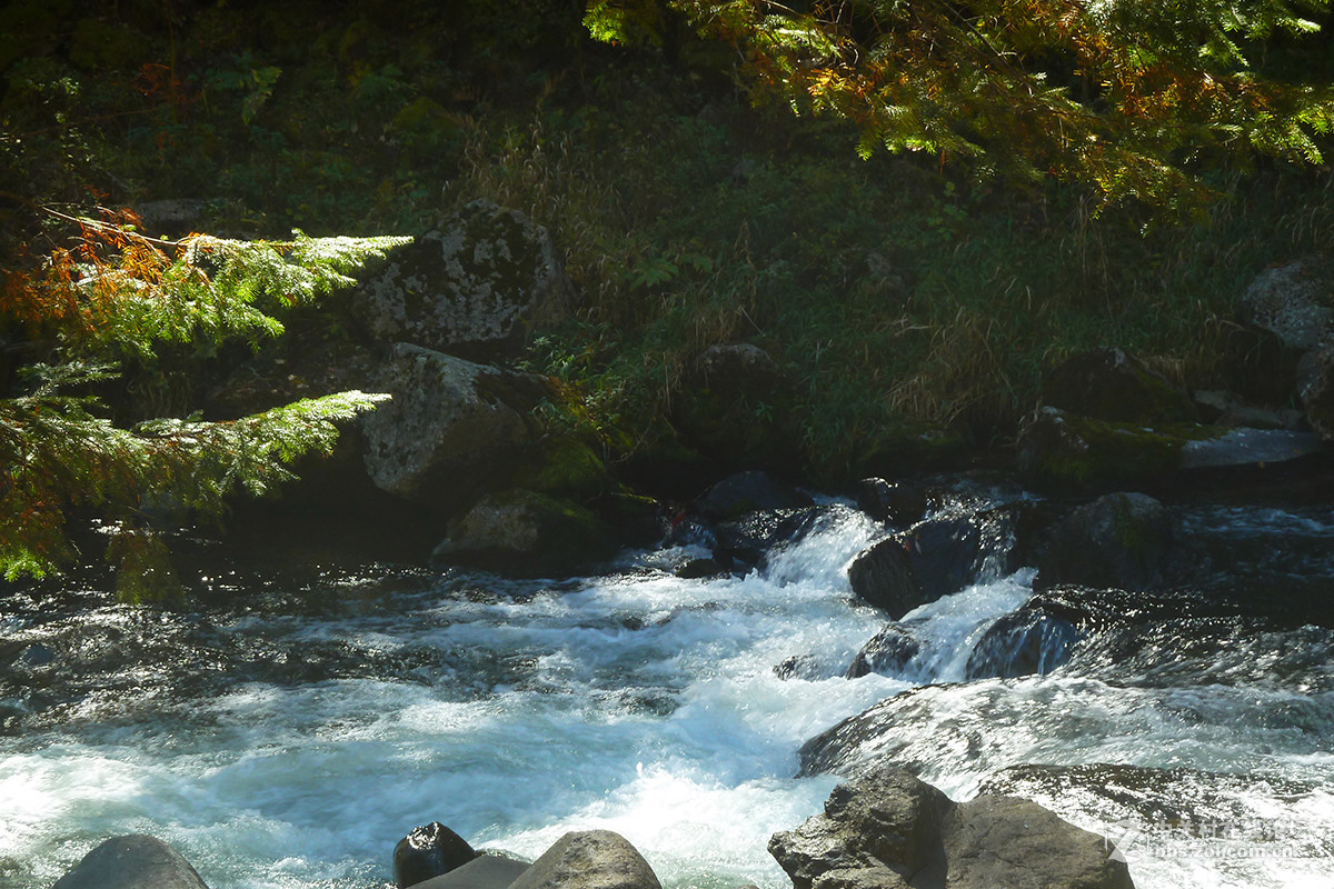 感受东北的秋色（二）