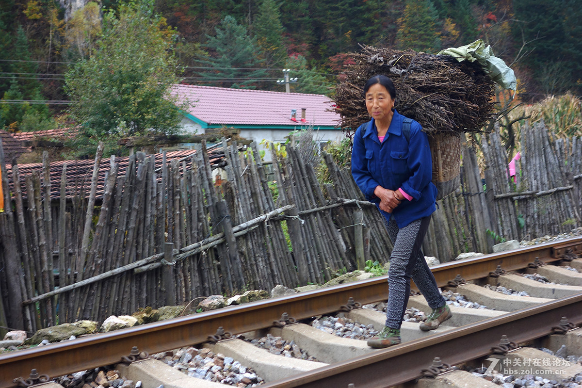 感受东北的秋色（二）