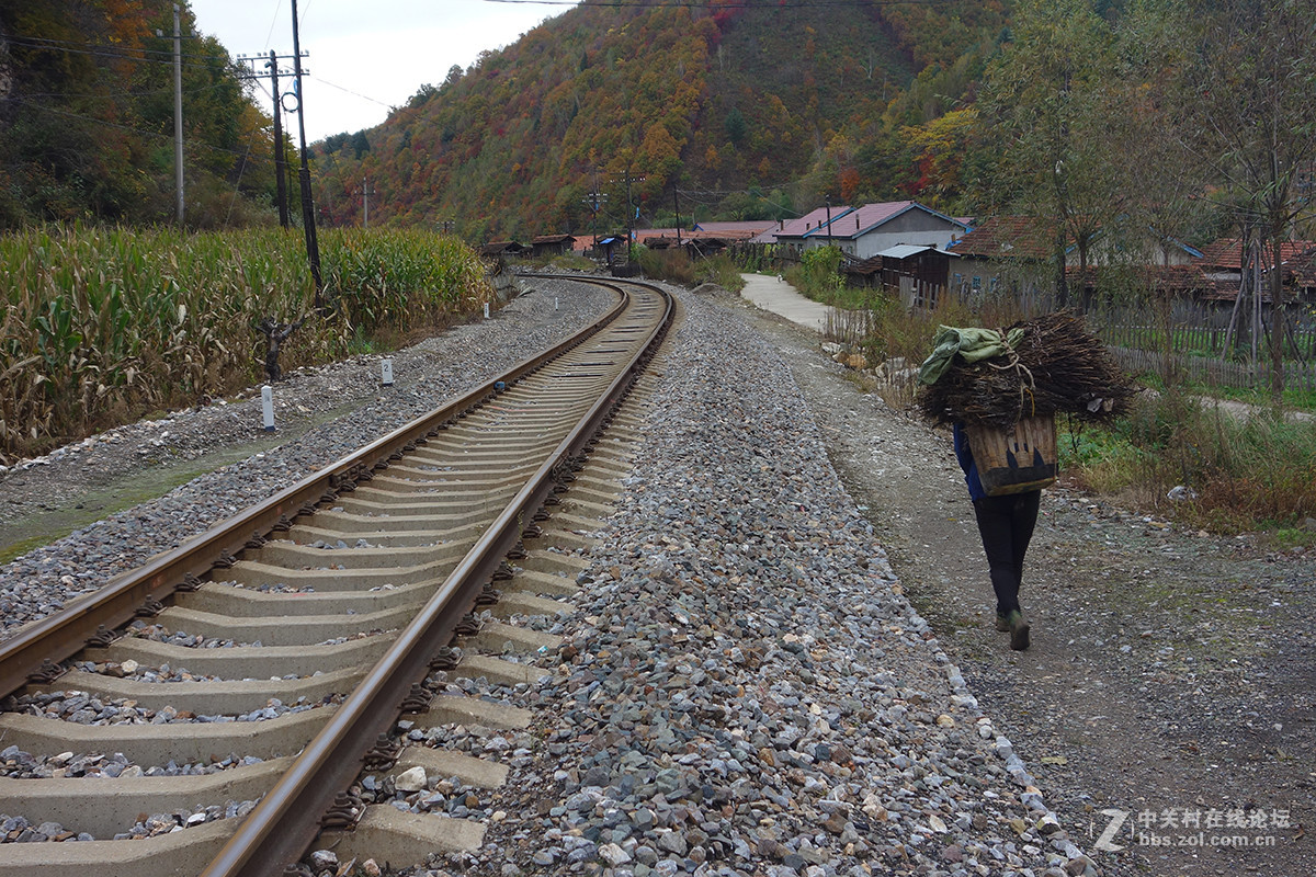 感受东北的秋色（二）