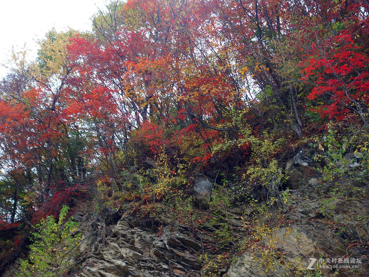 感受东北的秋色（二）