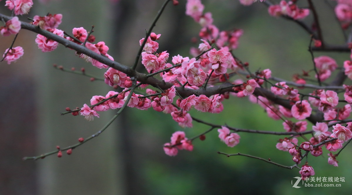 留恋往返的美谢幕前再拍组～～！