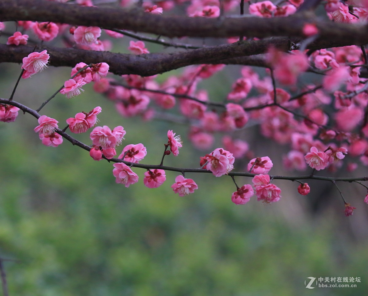 留恋往返的美谢幕前再拍组～～！