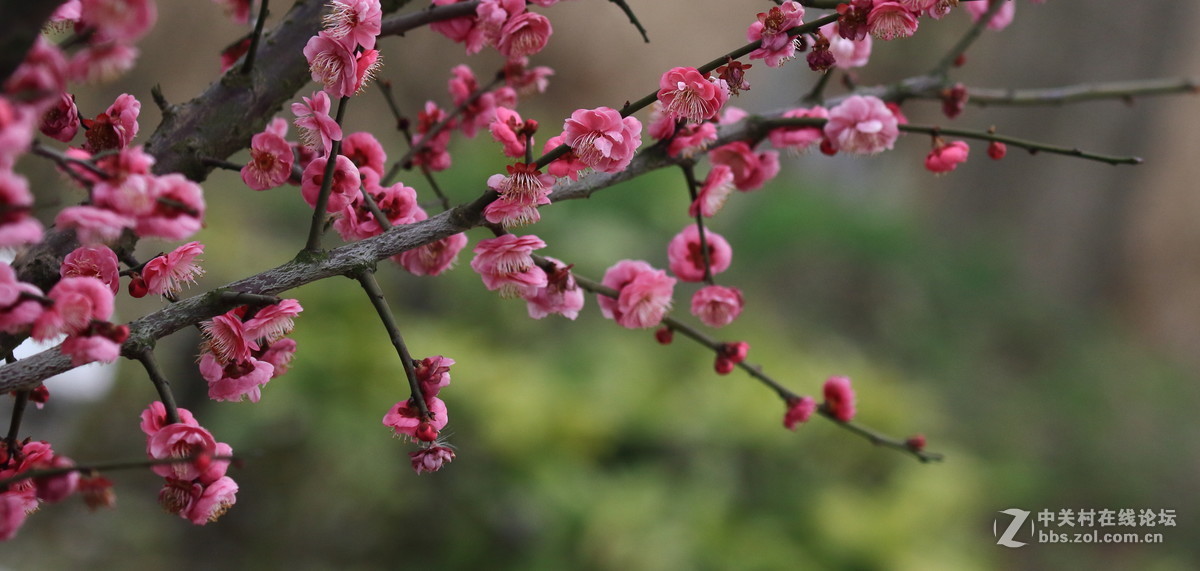 留恋往返的美谢幕前再拍组～～！