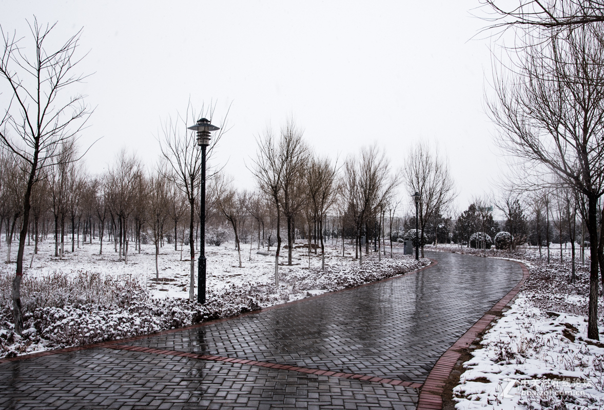 今年的第二场雪，积攒了一个冬天的雪，这是要在春天下完吗？