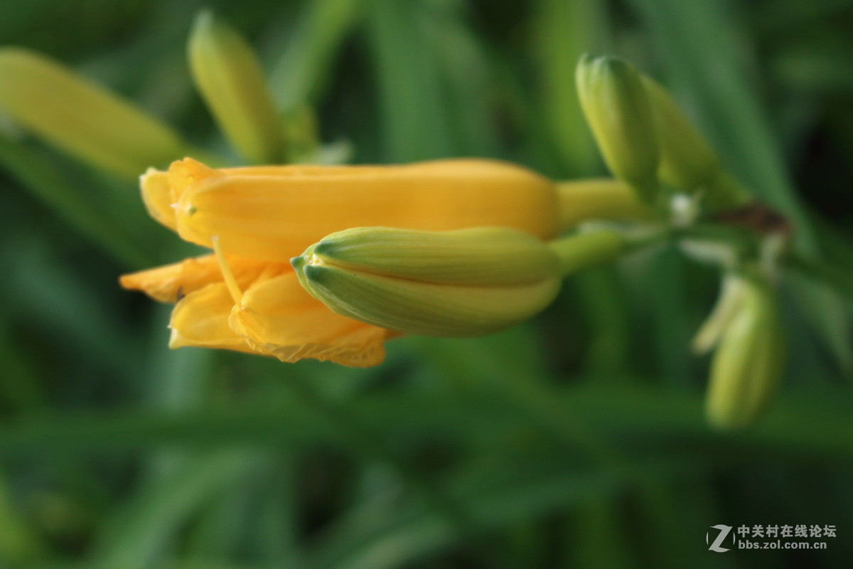 用阳光记录我的成长