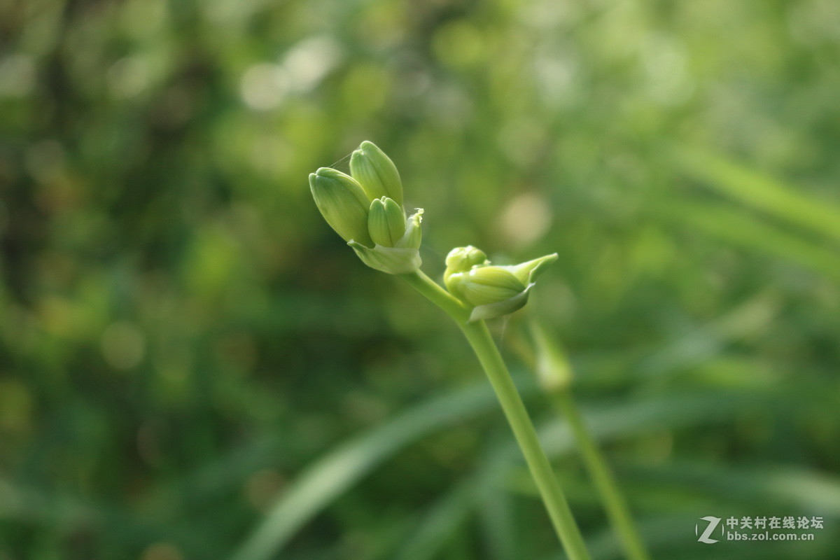 用阳光记录我的成长