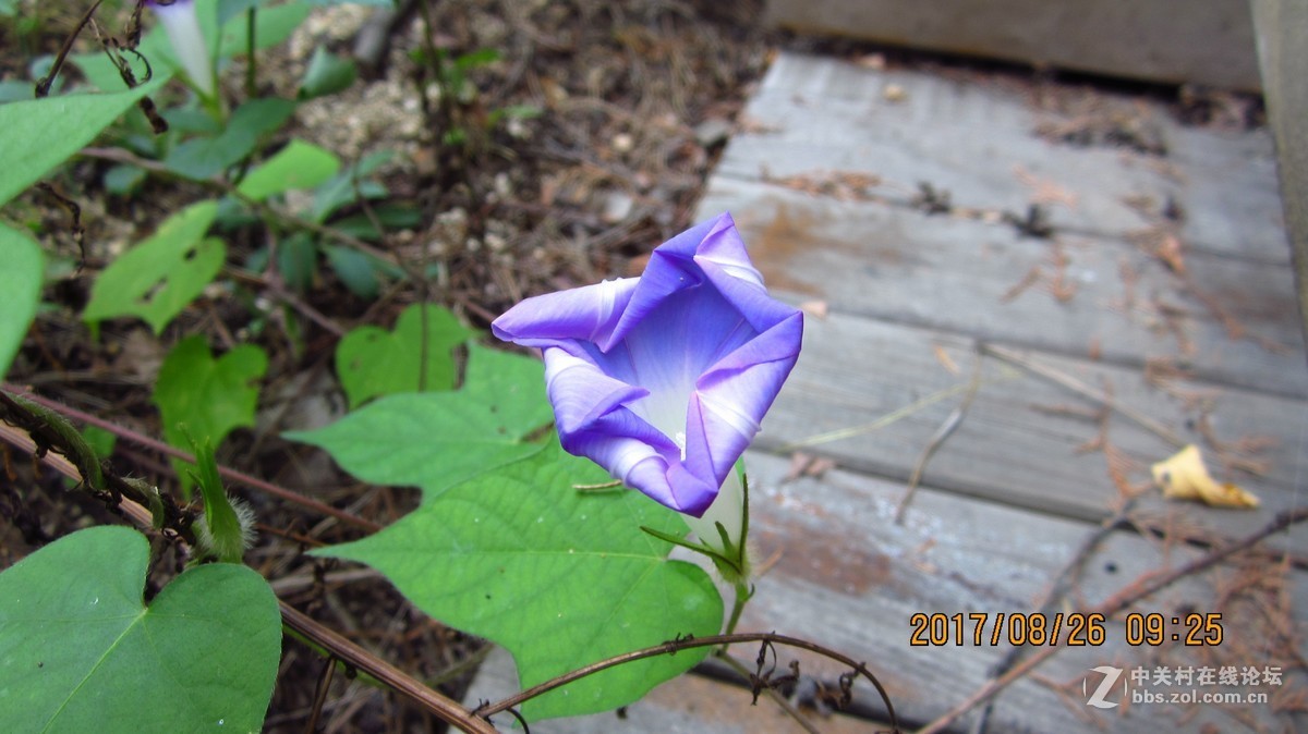 邹城五宝庵山试机