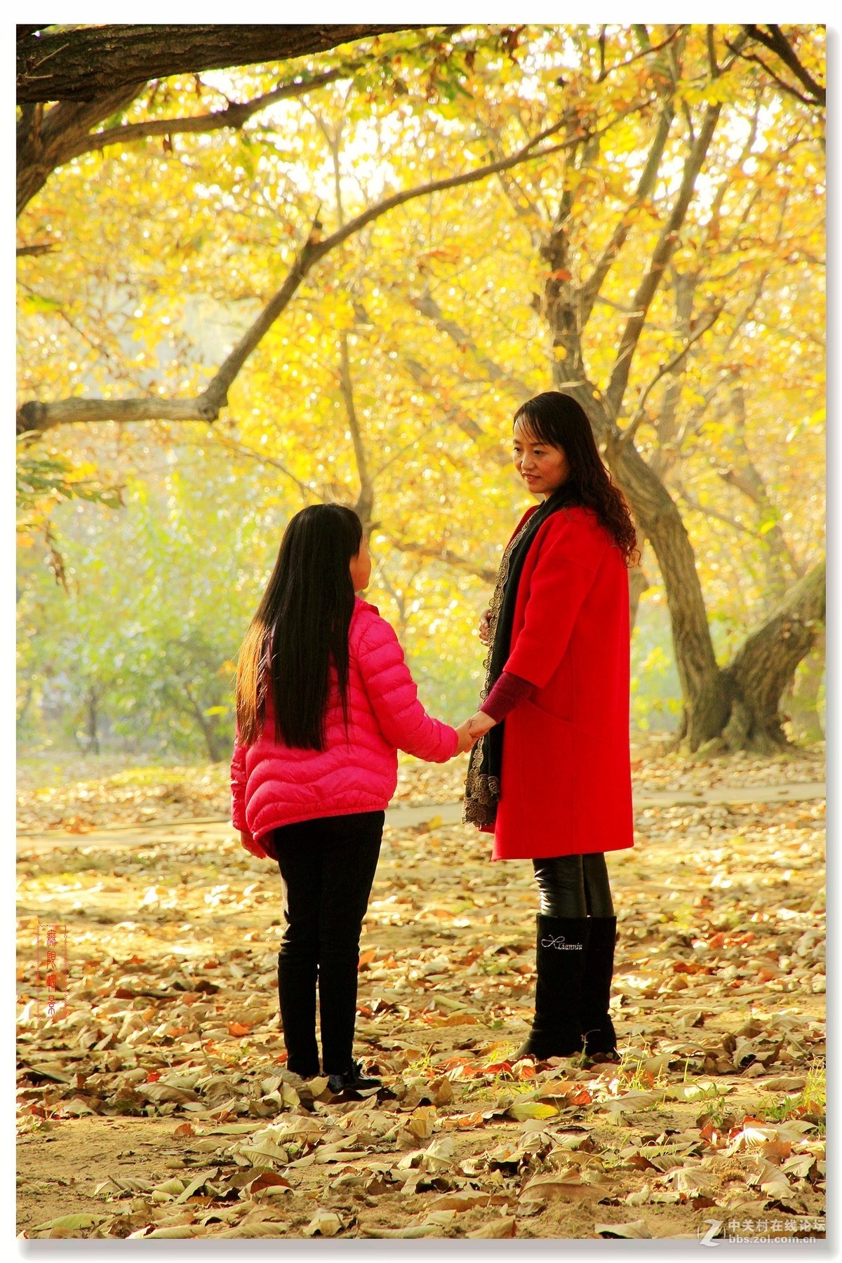 #佳能月赛-一叶知秋#邳州板粟树下母女俩