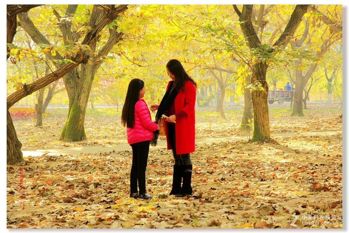 #佳能月赛-一叶知秋#邳州板粟树下母女俩