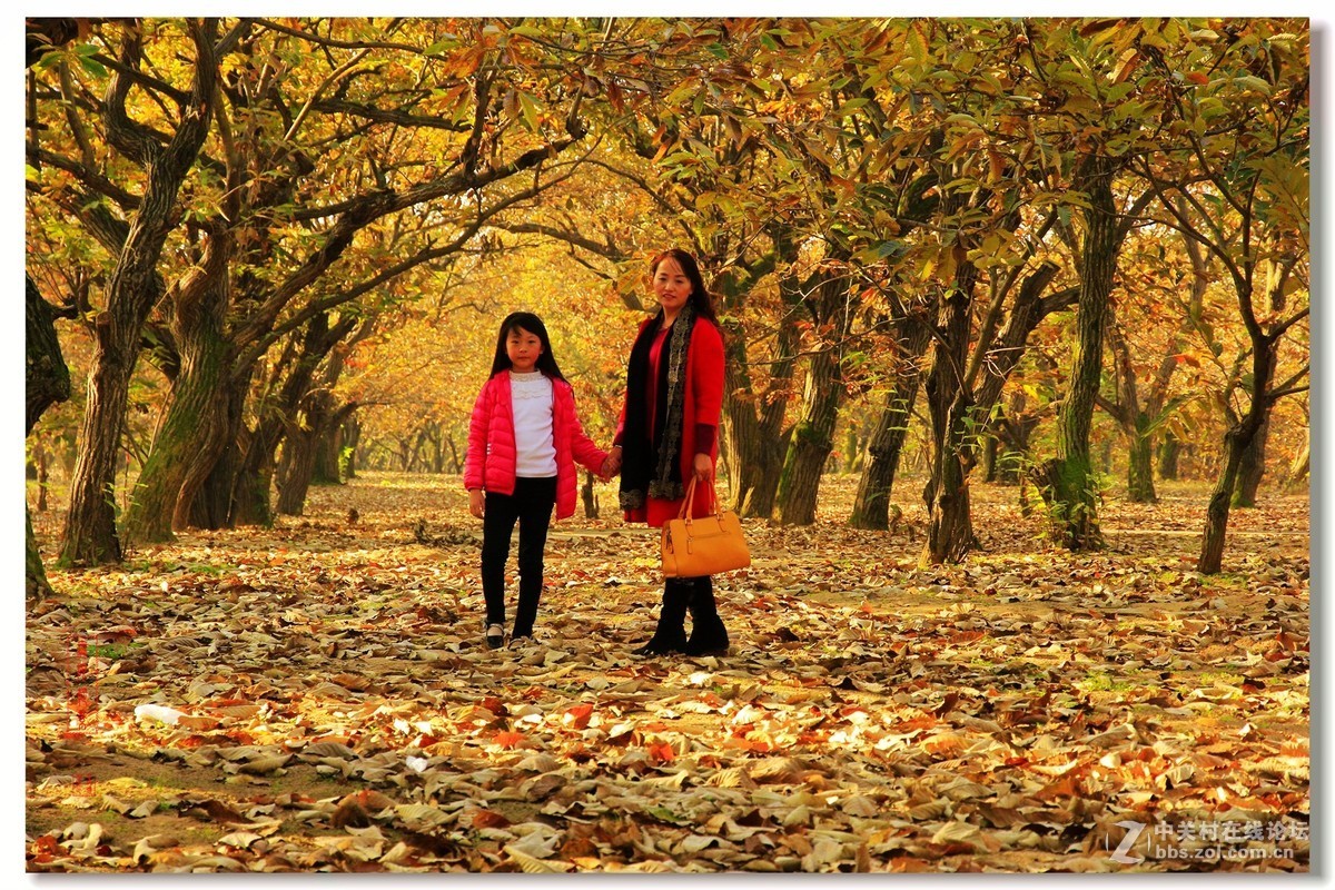 #佳能月赛-一叶知秋#邳州板粟树下母女俩