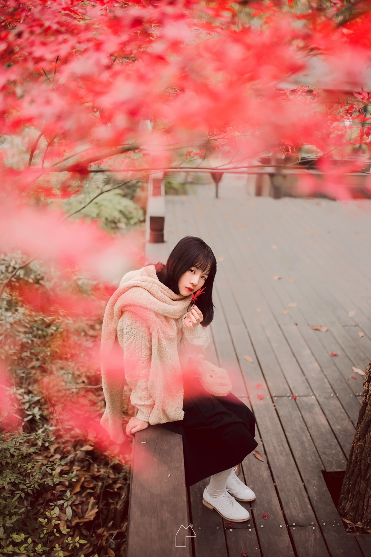 「熊出没」红叶枫了