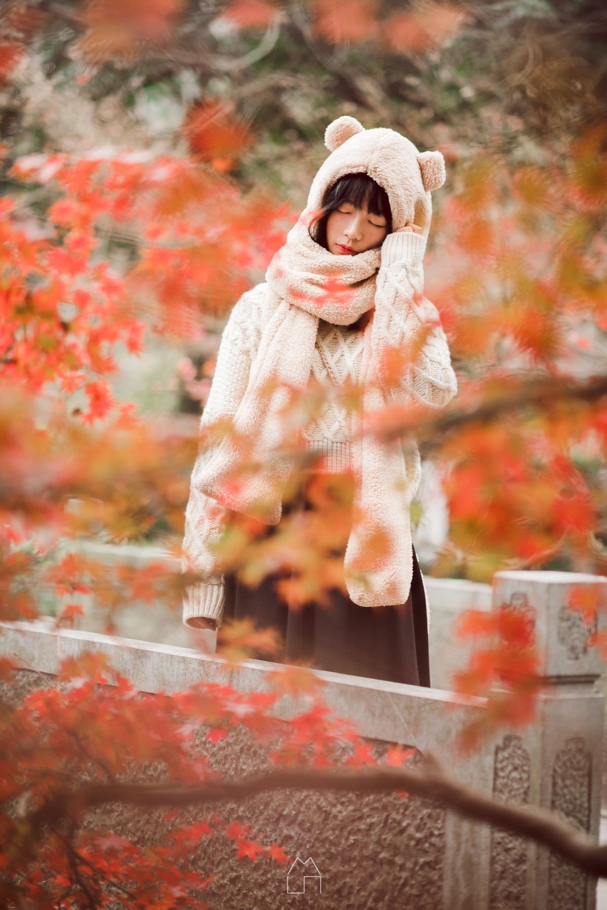 「熊出没」红叶枫了