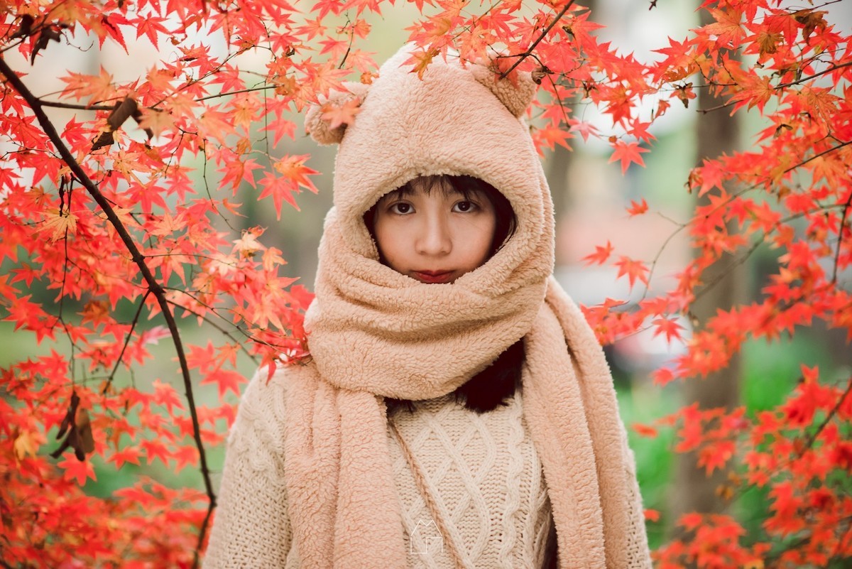 「熊出没」红叶枫了